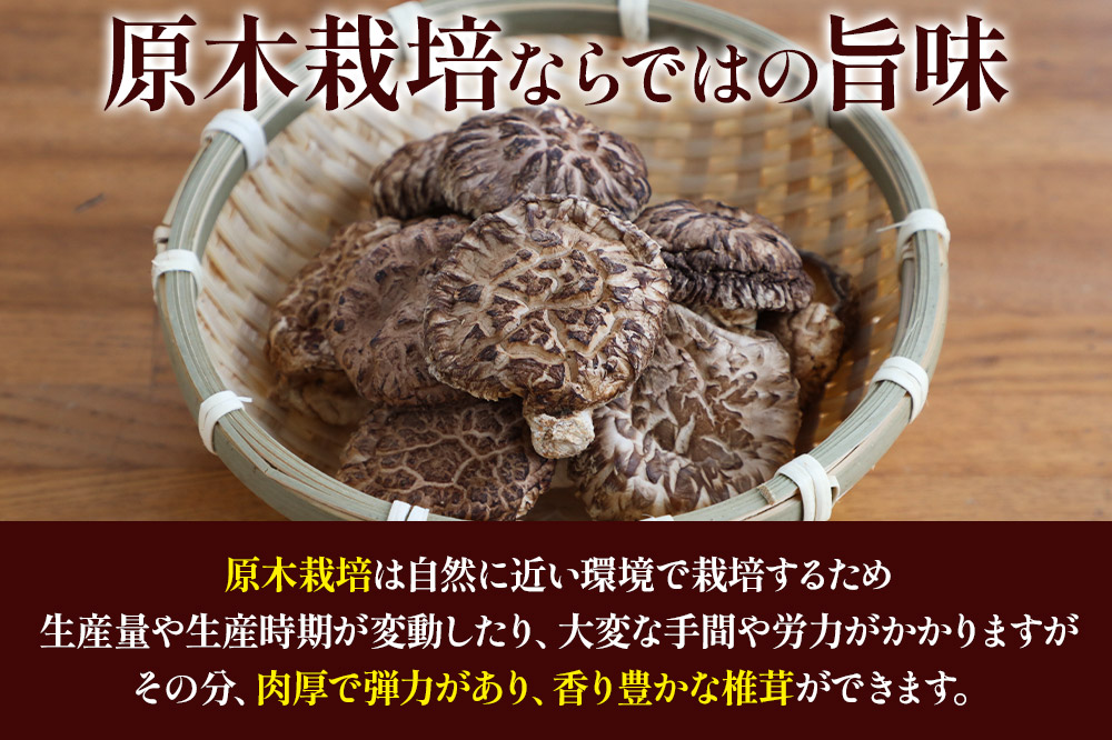 原木栽培 干ししいたけ【どんこ】30g×3袋