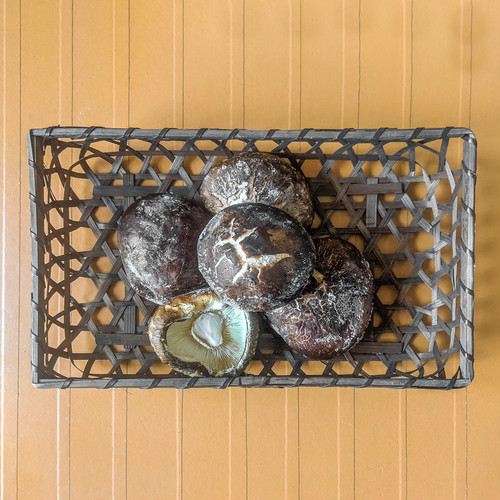 岩城町農園 冷凍熟成原木椎茸 180g×1個