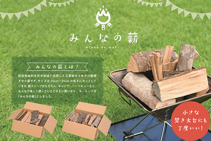 みんなの薪(小) 広葉樹ミックスセット 20cmから25cmカット 100サイズ