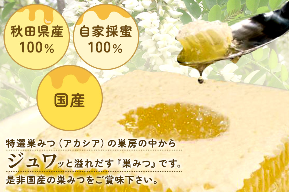 小松養蜂場 はちみつ 秋田県産 100％ 巣みつ(アカシア)  2個セット