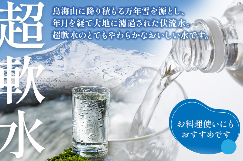 《定期便3ヶ月》鳥海山自然水(500ml)30本×3か月連続 計90本