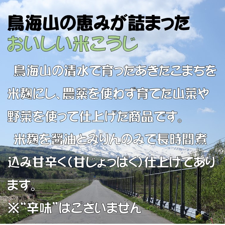 秋田の発酵文化が育んだ 甘辛米こうじ 150g×3個