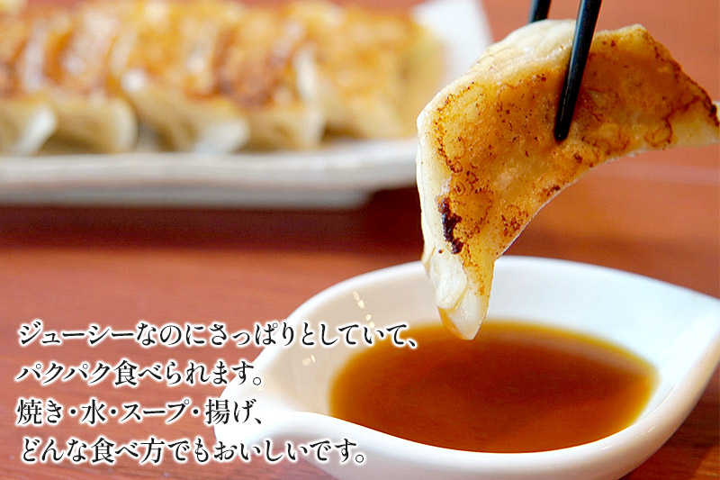 比内地鶏 餃子12個×4パック 日本三大地鶏 国産 秋田県 由利本荘市