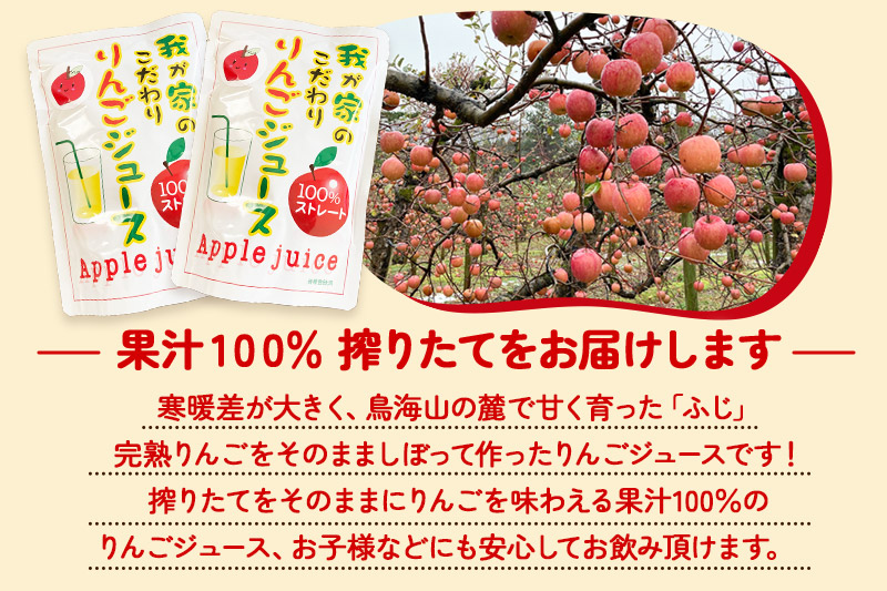 《予約受付》西目りんごジュース 果汁100％ 180g×10個セット ストレートジュース【贈答用】