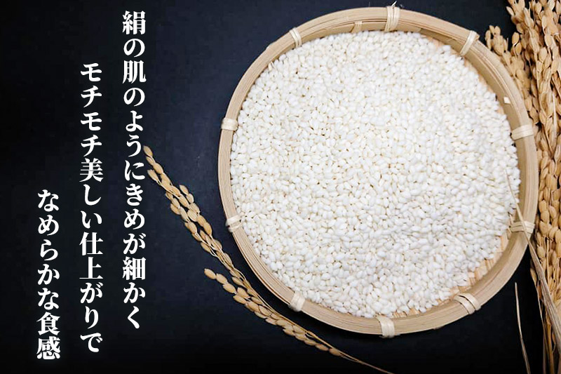 令和7年産【もち米】 10kg（5kg×2袋） 秋田県 由利本荘市産 きぬのはだ 精米 10kg