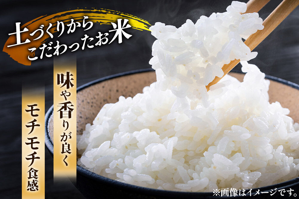 秋田県産 ひとめぼれ パックご飯 200g×24個