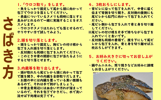 真鱈 【メス】 5kg 天然 漁師直送 (配送期間 10月～1月末予定、期間外は次期予約扱い) マダラ タラ 高級魚 たら まだら 魚
