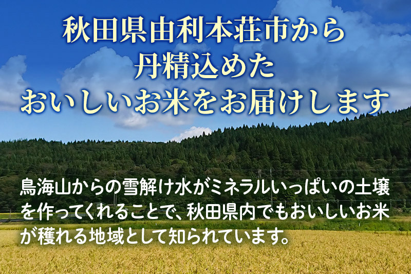 米 10kg 玄米 秋田県産 ひとめぼれ 令和7年産 自慢のお米 10kg