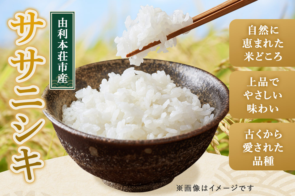 【白米】秋田県由利本荘市産 ササニシキ 5kg（5kg×1袋）令和6年産
