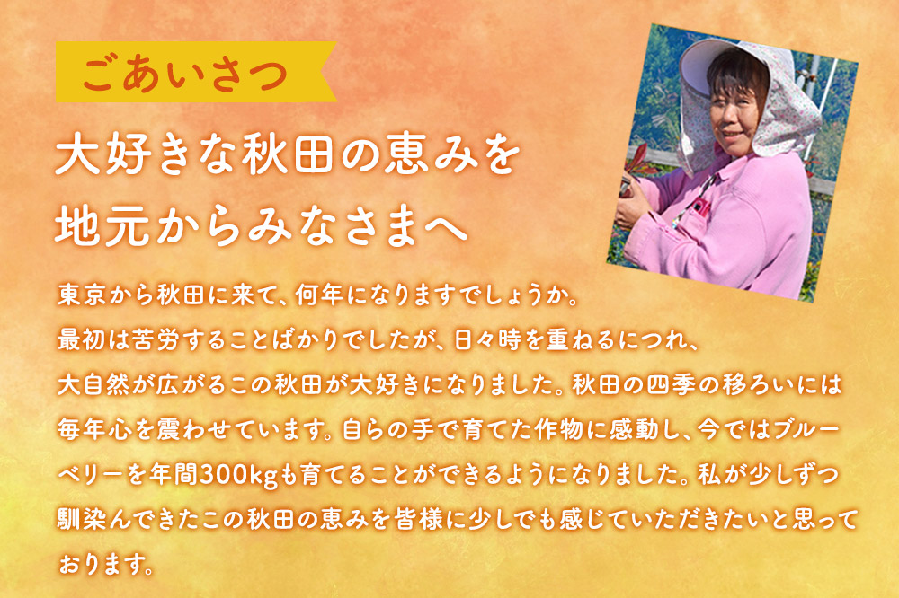 秋田県産 手摘み冷凍ブルーベリー 100g×5パック