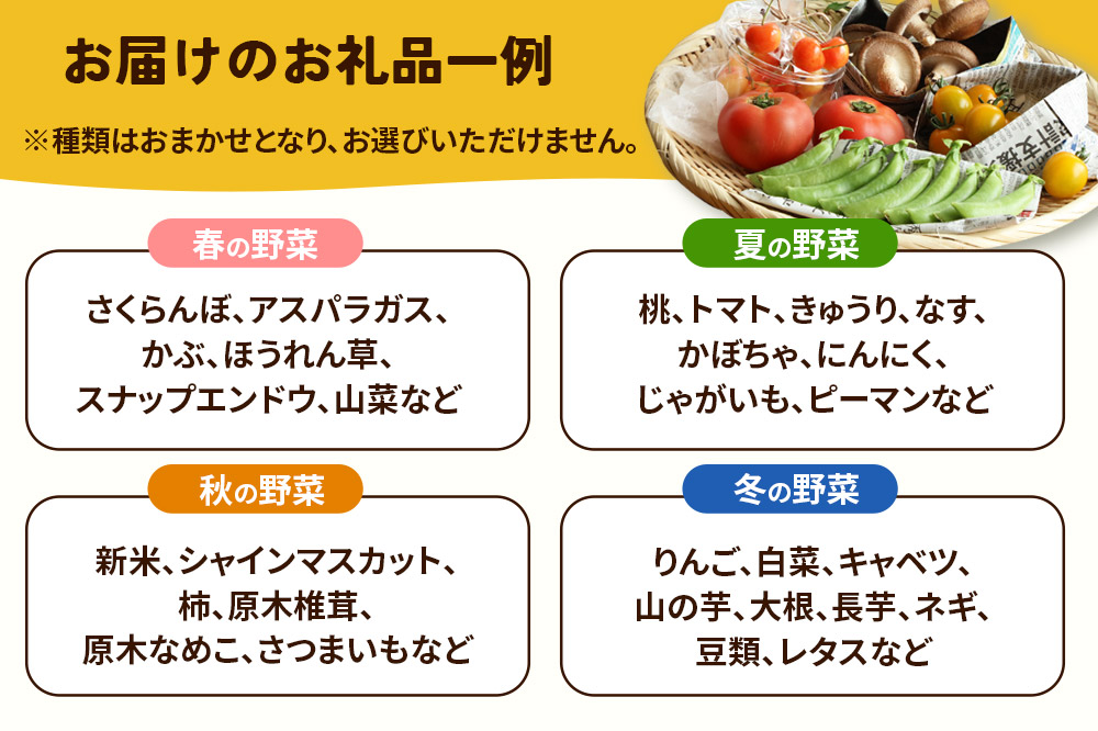 【定期便 1年分・12ヶ月】旬のお野菜セット 秋田県 由利本荘市産 栽培期間中農薬不使用 減農薬