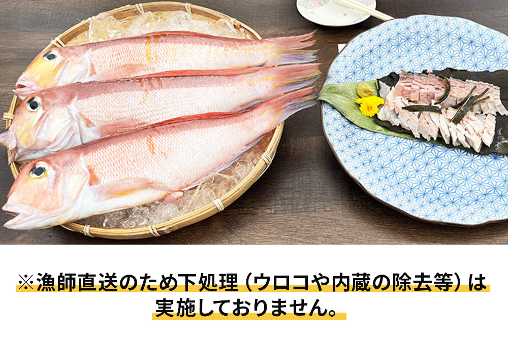 《予約受付》漁師直送 甘鯛（あまだい）3kg＋おまかせ鮮魚 秋田県産【下処理なし】