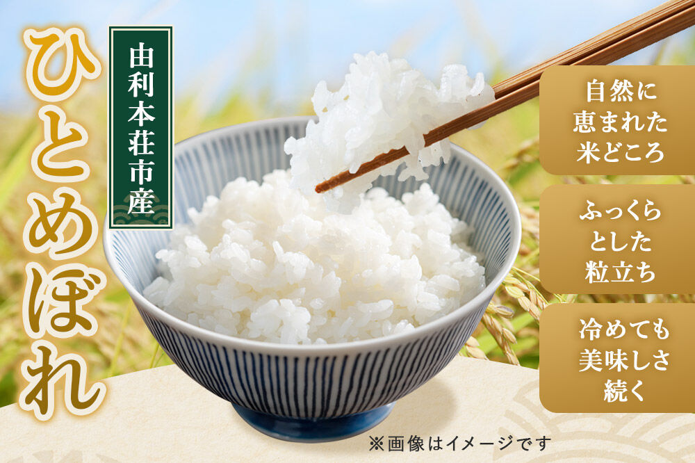 《新米予約》《定期便5ヶ月》令和8年産【無洗米】特別栽培米 ひとめぼれ 5kg 秋田県産 [ひとめぼれ 米 お米 白米 精米 無洗米 特別栽培米 ブランド米 食卓 秋田県産 秋田県 由利本荘市]