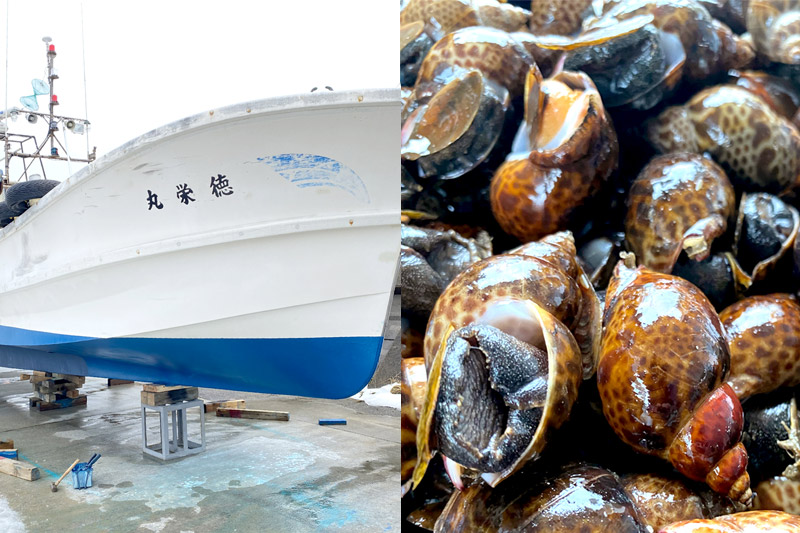 黒バイ貝煮付け 500g×2パック