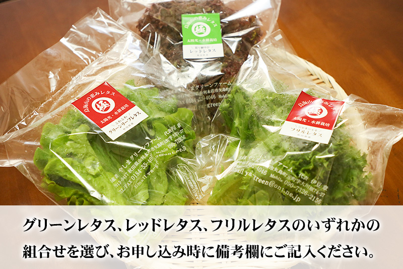 リーフレタス各種 80g×4パック グリーンレタス フリルレタス レッドレタス