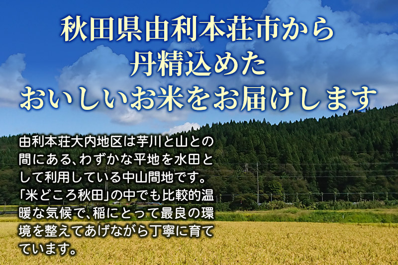 【白米】コシヒカリ 5kg 令和7年産 秋田県産 北国秋田のコシヒカリ お米 米 こめ 五平農園