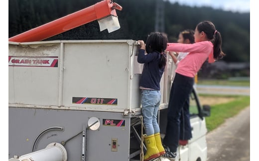 【玄米】秋田県由利本荘市産 ササニシキ 15kg(5kg×3袋) 令和7年産 真空パック 岩城町農園