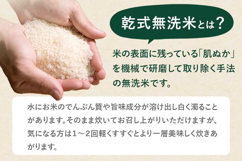《新米受付》令和7年産【無洗米】特別栽培米 ひとめぼれ 5kg 秋田県産【2026年3月出荷】