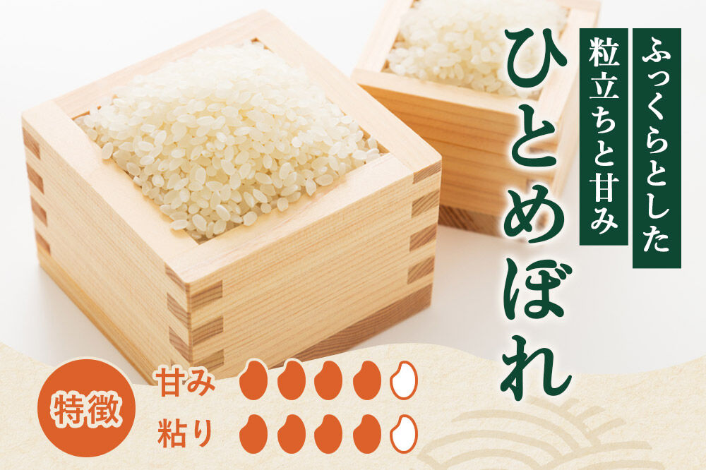 《定期便5ヶ月》令和7年産【白米】特別栽培米 ひとめぼれ 5kg 秋田県産 [ひとめぼれ 米 お米 白米 精米 特別栽培米 ブランド米 食卓 秋田県産 秋田県 由利本荘市]