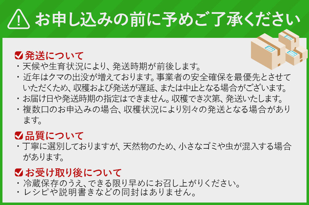 《予約受付》朝採り発送！天然山菜詰合せ 約500g（2～3種類） [山菜 天然山菜 さんさい 野菜 詰合せ 詰め合わせ 朝採り発送！ 天ぷら おひたし 煮物 秋田県産 国産]