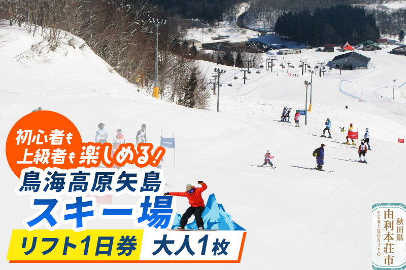 鳥海高原矢島スキー場 リフト1日券 大人1枚【営業期間：2025年12月～2026年3月】＜簡易書留＞
