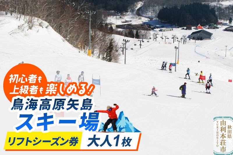 鳥海高原矢島スキー場 リフトシーズン券 大人1枚【営業期間：2025年12月～2026年3月】＜簡易書留＞