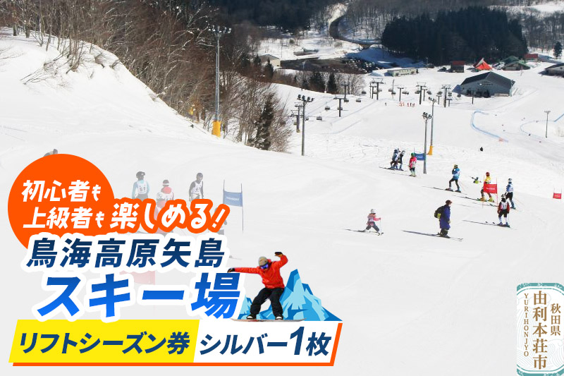 鳥海高原矢島スキー場 リフトシーズン券 シルバー(60歳以上) 1枚【営業期間：2025年12月～2026年3月】＜簡易書留＞