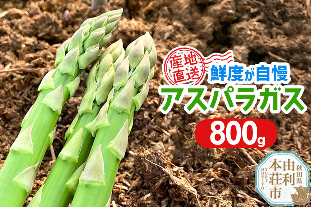 《先行受付》アスパラガス 800g 7月上旬～8月下旬発送  [アスパラガス アスパラ 自社農園 栽培 鮮度抜群 ハウス栽培 茎まで柔らかい クセのない甘さ 産地直送 産直 素焼き 秋田 由利本荘市 だいち農園]