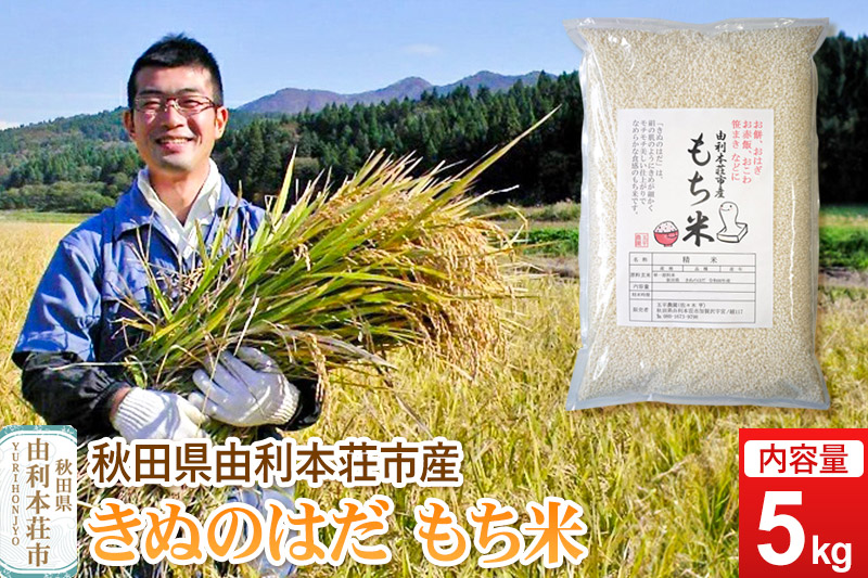 《予約受付》令和7年産【もち米】 5kg 秋田県由利本荘市産 きぬのはだ 精米 5kg