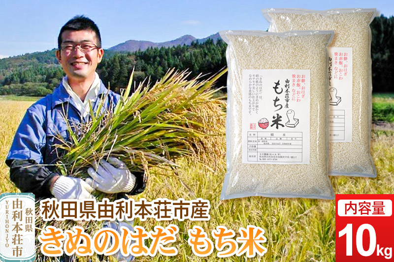 令和7年産【もち米】 10kg（5kg×2袋） 秋田県 由利本荘市産 きぬのはだ 精米 10kg