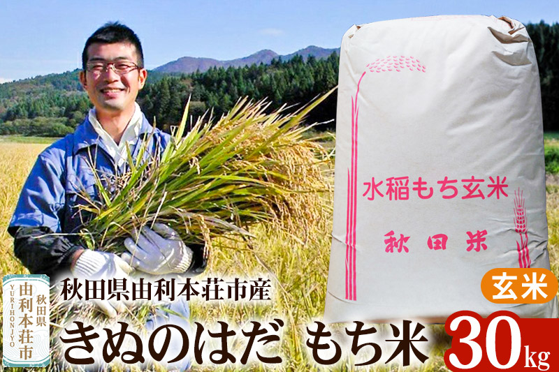 【もち米】30kg 秋田県由利本荘市産 きぬのはだ【玄米】五平農園