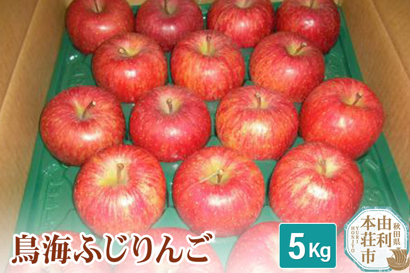 《予約受付》鳥海ふじりんご 5kg 農家直送 林檎 リンゴ 秋田県 由利本荘市