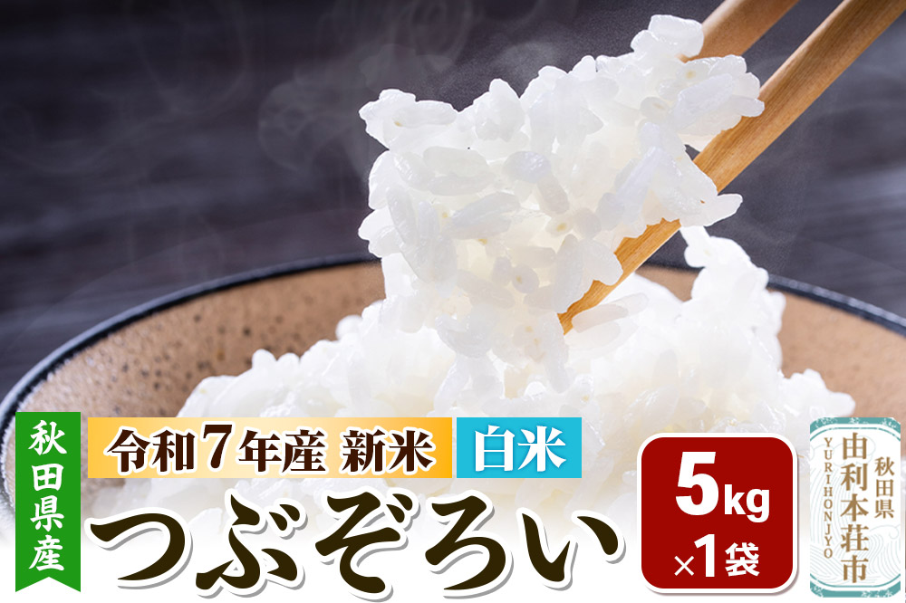 【白米】秋田県由利本荘市産 つぶぞろい 5kg 令和7年産