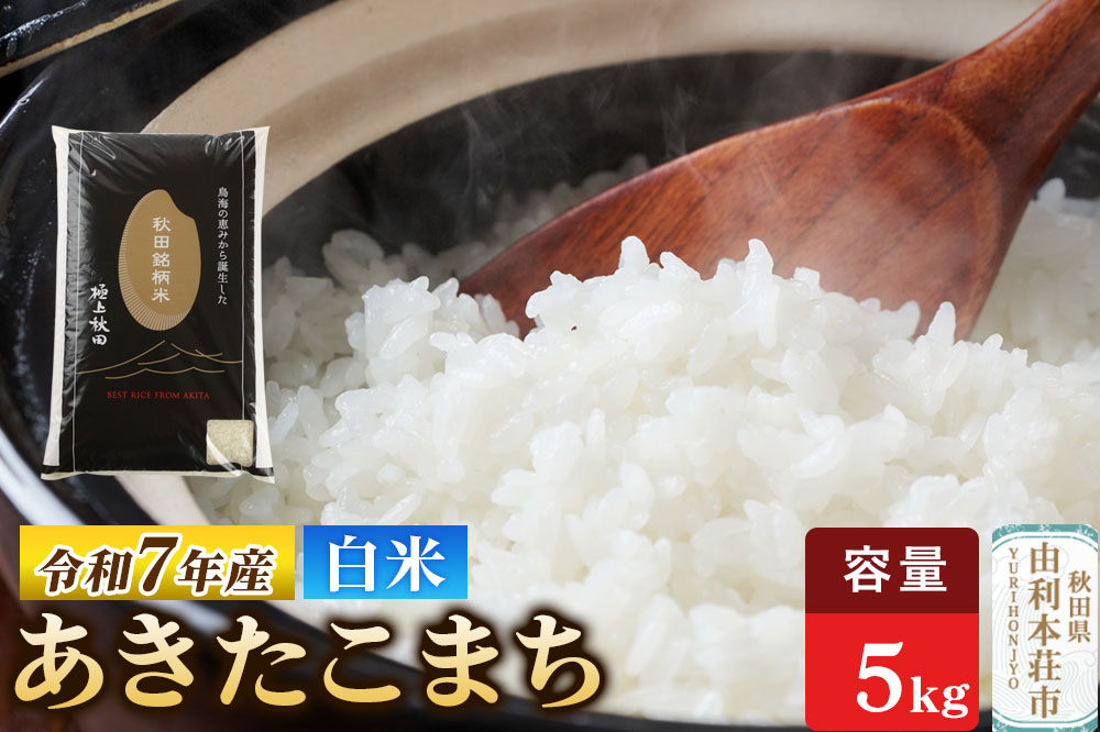 令和7年産 【白米】極上秋田銘柄米 あきたこまち 5kg 米 お米 白米 精米 ブランド米 銘柄米 秋田県産
