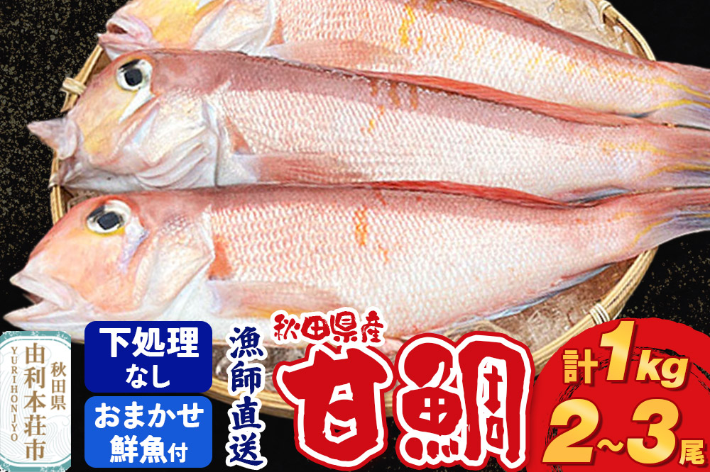 《予約受付》漁師直送 甘鯛（あまだい）1kg＋おまかせ鮮魚 秋田県産【下処理なし】
