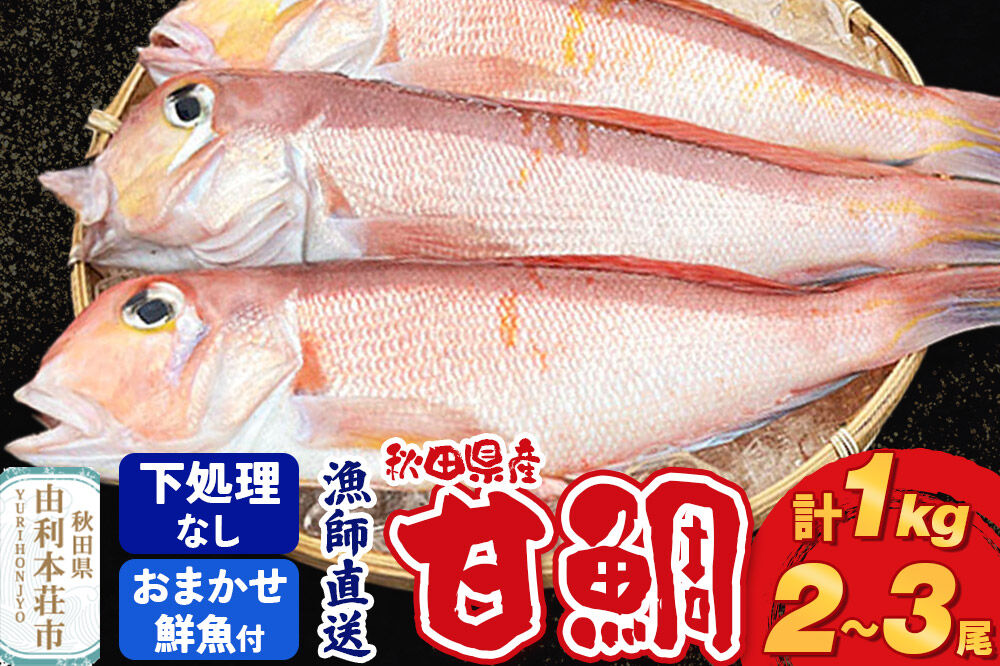 《予約受付》漁師直送 甘鯛（あまだい）1kg＋おまかせ鮮魚 秋田県産【下処理なし】 [天然 高級魚 白身 アマダイ たい 鮮魚 共同漁業 BLUE RISE 秋田県 由利本荘市]