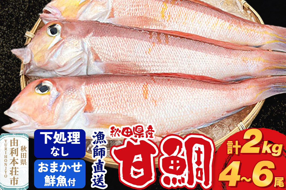 《予約受付》漁師直送 甘鯛（あまだい）2kg＋おまかせ鮮魚 秋田県産【下処理なし】 [天然 高級魚 白身 アマダイ たい 鮮魚 共同漁業 BLUE RISE 秋田県 由利本荘市]