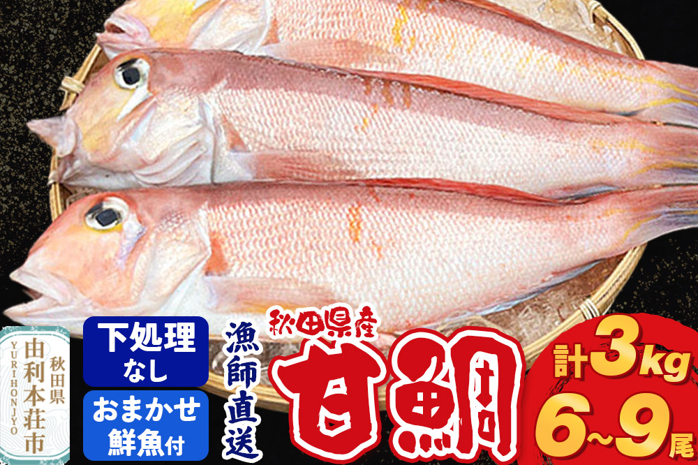 《予約受付》漁師直送 甘鯛（あまだい）3kg＋おまかせ鮮魚 秋田県産【下処理なし】
