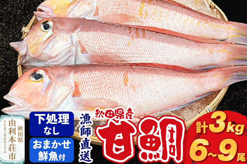 《予約受付》漁師直送 甘鯛（あまだい）3kg＋おまかせ鮮魚 秋田県産【下処理なし】 [天然 高級魚 白身 アマダイ たい 鮮魚 共同漁業 BLUE RISE 秋田県 由利本荘市]