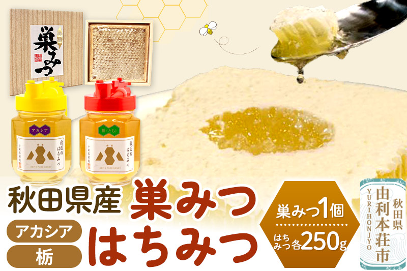 小松養蜂場 はちみつ 秋田県産 100％ 巣みつ(アカシア)  +アカシア・栃はちみつ各 250g セット