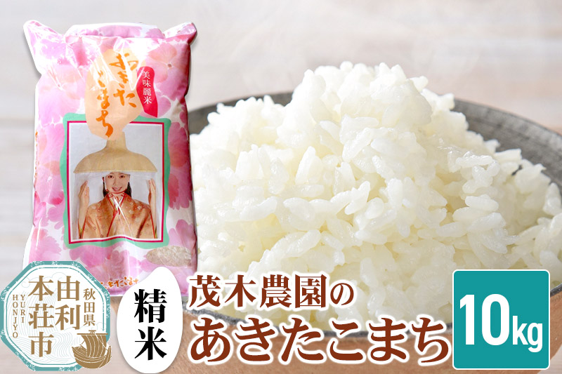 《令和7年産》【精米】あきたこまち 10kg 秋田県産 茂木農園のあきたこまち ブランド米 銘柄米 米どころ