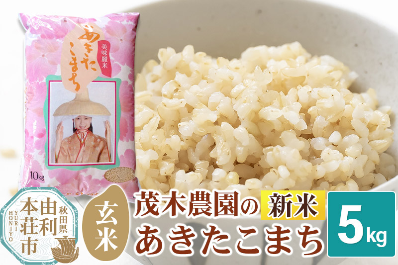 《令和7年産 新米》【玄米】あきたこまち 5kg 秋田県産 茂木農園のあきたこまち ブランド米 銘柄米 米どころ 秋田県 由利本荘市