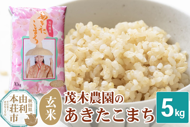 《令和7年産》【玄米】あきたこまち 5kg 秋田県産 茂木農園のあきたこまち ブランド米 銘柄米 米どころ