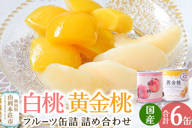 Sanuki フルーツ缶詰 詰め合わせ 6缶セット(黄金桃、白桃)