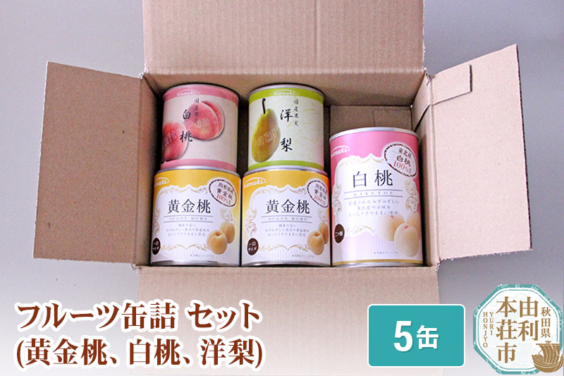 Sanuki フルーツ缶詰 詰め合わせ 5缶セット(黄金桃、白桃、洋梨)
