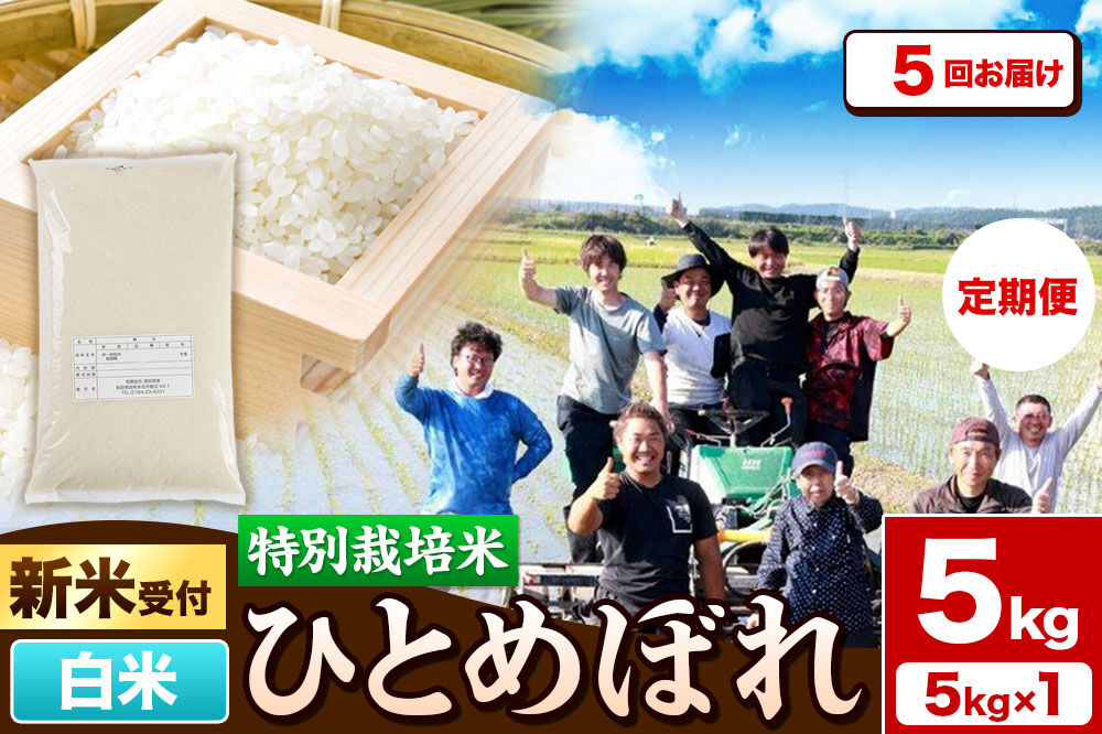 《新米予約》《定期便5ヶ月》令和8年産【白米】特別栽培米 ひとめぼれ 5kg 秋田県産 [ひとめぼれ 米 お米 白米 精米 特別栽培米 ブランド米 食卓 秋田県産 秋田県 由利本荘市]