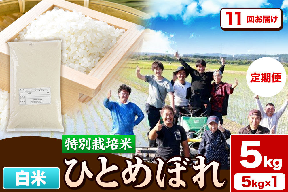 《定期便11ヶ月》令和7年産【白米】特別栽培米 ひとめぼれ 5kg 秋田県産 [ひとめぼれ 米 お米 白米 精米 特別栽培米 ブランド米 食卓 秋田県産 秋田県 由利本荘市]