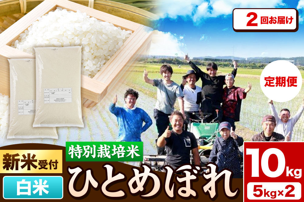 《新米予約》《定期便2ヶ月》令和8年産【白米】特別栽培米 ひとめぼれ 10kg（5kg×2袋）秋田県産 [ひとめぼれ 米 お米 白米 精米 特別栽培米 ブランド米 食卓 秋田県産 秋田県 由利本荘市]