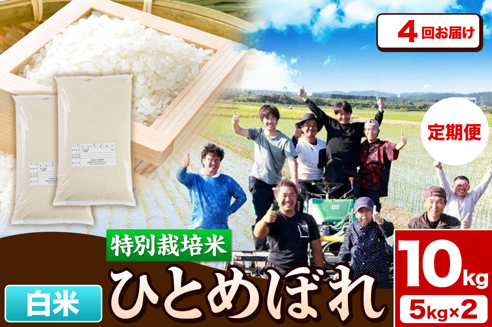 《定期便4ヶ月》令和7年産【白米】特別栽培米 ひとめぼれ 10kg（5kg×2袋）秋田県産 [ひとめぼれ 米 お米 白米 精米 特別栽培米 ブランド米 食卓 秋田県産 秋田県 由利本荘市]