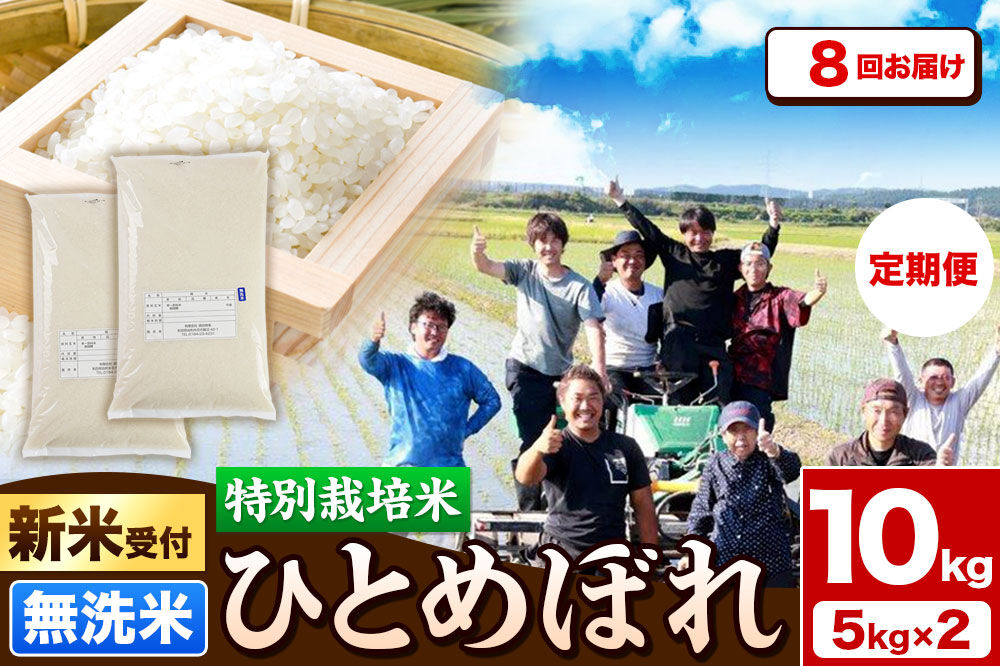 《新米予約》《定期便8ヶ月》令和8年産【無洗米】特別栽培米 ひとめぼれ 10kg（5kg×2袋）秋田県産 [ひとめぼれ 米 お米 白米 精米 無洗米 特別栽培米 ブランド米 食卓 秋田県産 秋田県 由利本荘市]